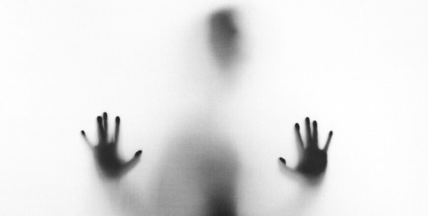 Photo by Stefano Pollio